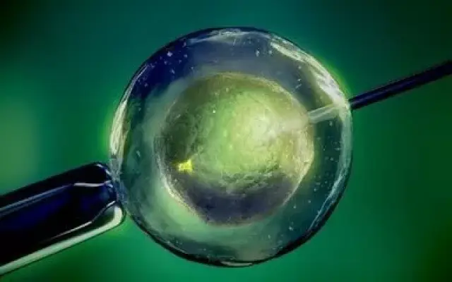 拉拉试管三代代孕机构